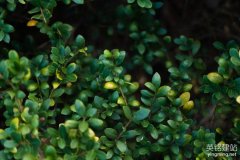 網站建設株洲流程